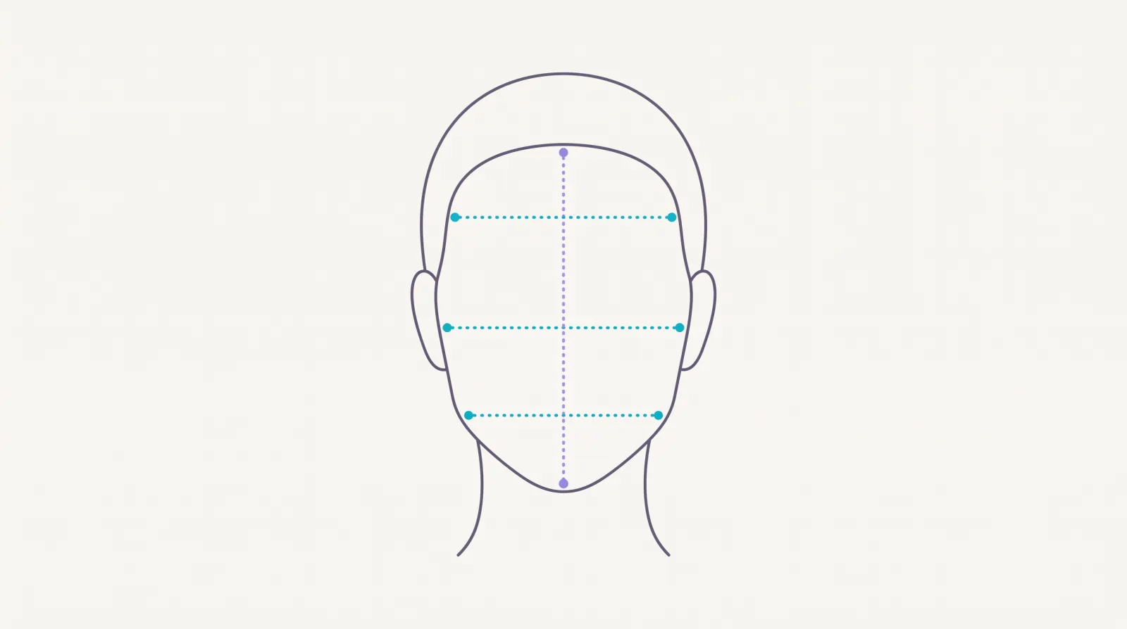 Line drawing of a head with dotted vertical and horizontal measurement lines marking reference points.